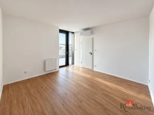 Prodej bytu 2+kk, Plzeň - Jižní Předměstí, Železná, 103 m2