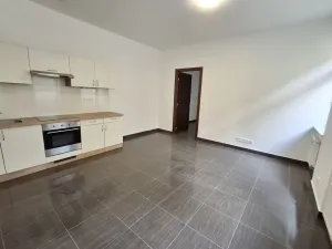 Pronájem bytu 2+kk, Teplice, Masarykova třída, 40 m2