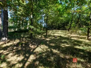 Prodej rodinného domu, Olšany, 240 m2