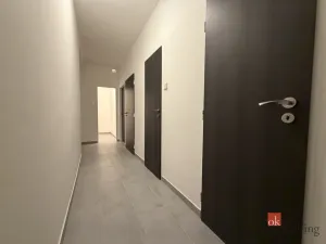 Pronájem bytu 2+1, Plzeň - Lobzy, Dlouhá, 53 m2