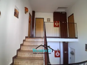 Prodej bytu 1+1, Kroměříž, Denkova, 39 m2