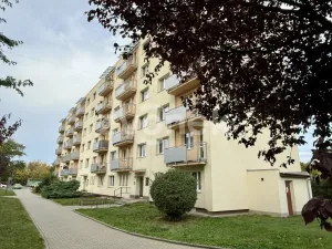 Prodej bytu 2+1, Zlín, Husova, 48 m2