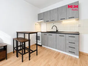 Pronájem bytu 2+kk, České Budějovice - České Budějovice 3, Riegrova, 44 m2