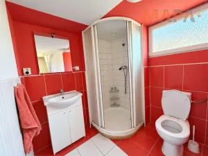 Prodej rodinného domu, Údlice - Přečaply, 438 m2