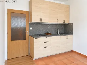 Prodej bytu 1+kk, Brno, Božetěchova, 29 m2