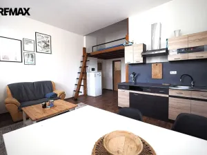 Prodej vícegeneračního domu, Doudleby nad Orlicí, Dukelská, 450 m2