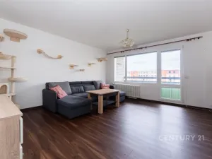 Prodej bytu 4+1, Chlumec, Vyklická, 81 m2