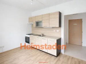 Pronájem bytu 1+kk, Karviná - Nové Město, Nedbalova, 25 m2