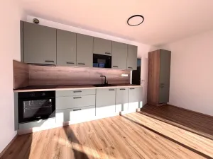Pronájem bytu 1+kk, Plzeň - Jižní Předměstí, Železná, 35 m2