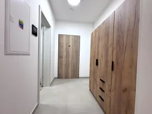 Pronájem bytu 1+kk, Plzeň - Jižní Předměstí, Železná, 35 m2