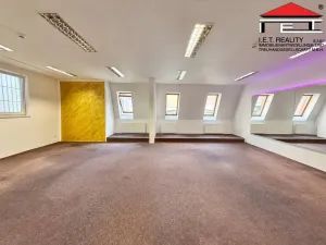 Pronájem obchodního prostoru, Brno, Orlí, 200 m2