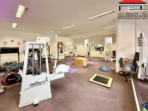 Pronájem obchodního prostoru, Brno, Orlí, 200 m2