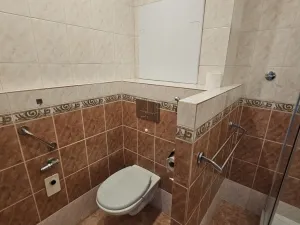 Prodej bytu 1+1, Kladno - Kročehlavy, Vrchlického, 38 m2