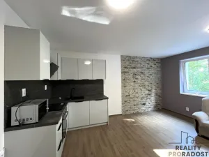 Pronájem ubytování, Třinec, Nad Tyrkou, 250 m2