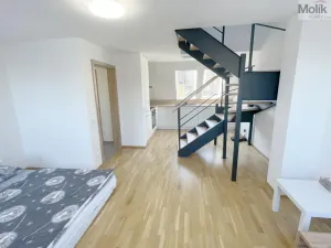 Pronájem bytu 2+kk, Most, Hollarova, 65 m2