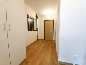 Pronájem bytu 2+kk, Praha, Přemyslovská, 46 m2