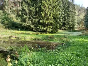 Prodej obchodního prostoru, Bohdalovice - Slubice, 200 m2