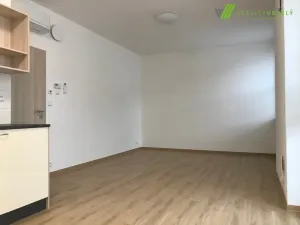 Pronájem bytu 1+kk, Hodonín, 41 m2