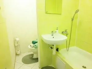 Pronájem bytu 1+kk, Brno, Sevastopolská, 38 m2