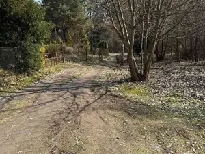 Prodej podílu pozemku, Kamenice, 1081 m2