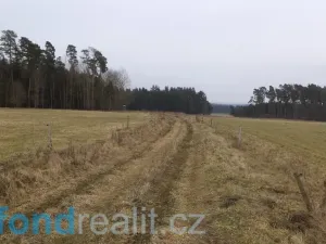 Prodej pole, Lom u Tachova, 3739 m2