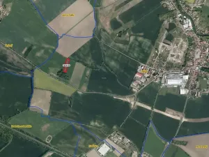 Prodej pole, Dašice, 5921 m2