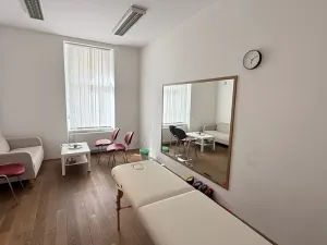 Pronájem kanceláře, Plzeň, Bendova, 120 m2