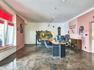 Prodej obchodního prostoru, Písek, U Hřebčince, 430 m2
