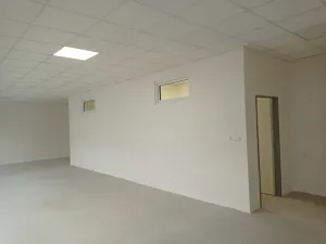 Pronájem obchodního prostoru, Brno, Palackého třída, 90 m2