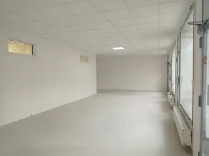 Pronájem obchodního prostoru, Brno, Palackého třída, 90 m2