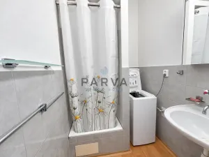 Pronájem bytu 1+kk, Plzeň - Severní Předměstí, Lipová, 26 m2