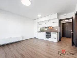 Pronájem bytu 2+kk, Olomouc - Nová Ulice, Třída Jiřího Pelikána, 44 m2