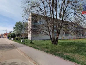 Pronájem bytu 2+1, České Budějovice, K. Lávičky, 52 m2