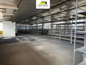 Pronájem výrobních prostor, Hradec Králové - Kukleny, Pražská třída, 520 m2