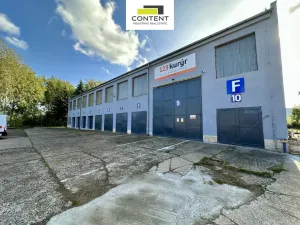 Pronájem výrobních prostor, Žalany, Kostomlatská, 903 m2