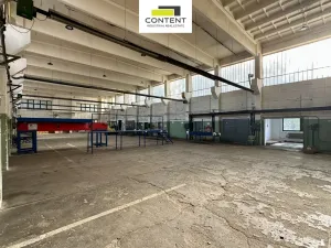 Pronájem výrobních prostor, Žalany, Kostomlatská, 903 m2