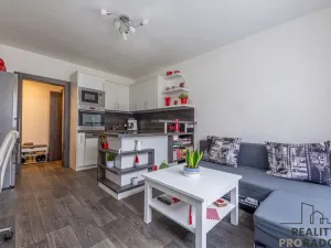 Prodej bytu 2+kk, Starý Plzenec, Herejkova, 41 m2