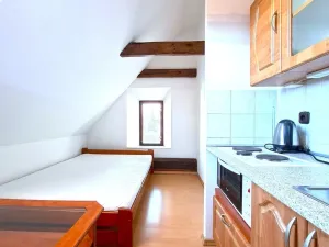 Pronájem bytu 1+kk, Benešov - Bedrč, 24 m2