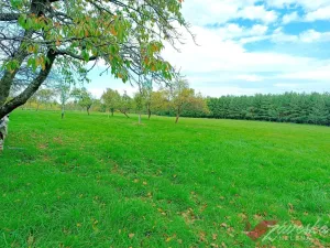Prodej rodinného domu, Strážiště, 130 m2