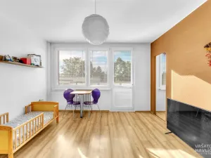 Prodej bytu 1+kk, Hradec Králové, Na Kotli, 28 m2