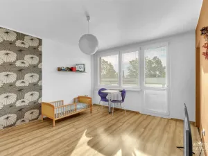 Prodej bytu 1+kk, Hradec Králové, Na Kotli, 28 m2