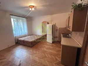 Pronájem bytu 2+kk, Plzeň, Francouzská třída, 36 m2