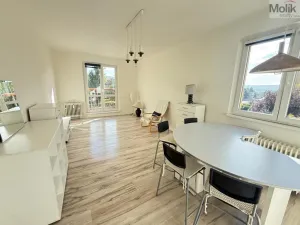 Pronájem bytu 2+1, Most, Jaroslava Vrchlického, 56 m2