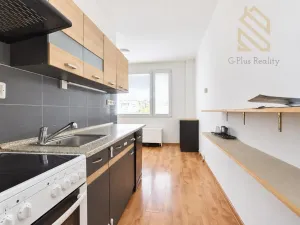 Prodej bytu 2+1, Krupka - Bohosudov, Kollárova, 58 m2
