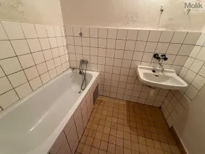 Prodej bytu 3+1, Litvínov - Horní Litvínov, U Zámeckého parku, 58 m2