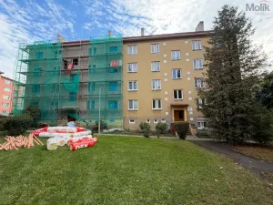 Prodej bytu 3+1, Litvínov - Horní Litvínov, U Zámeckého parku, 58 m2