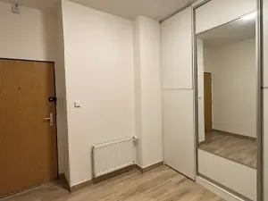 Pronájem bytu 2+kk, Praha - Vinohrady, Nad olšinami, 48 m2