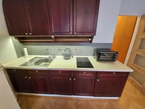 Pronájem bytu 1+kk, Praha, Kamenická, 25 m2