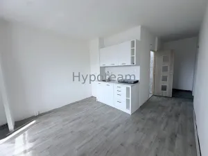 Prodej bytu 1+1, Ústí nad Labem - Neštěmice, Sibiřská, 42 m2