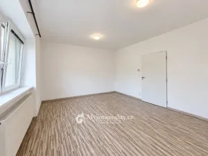 Pronájem bytu 1+1, Znojmo, Jubilejní park, 33 m2